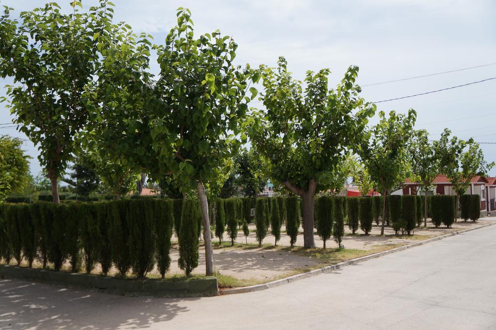 Camping Los Pinos Peñiscola Zewnętrze zdjęcie